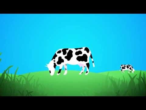 Video: What Does UHT Milk Mean?