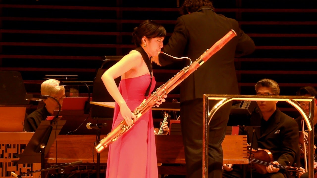 Vivaldi Bassoon Concerto in E minor, RV 484 III. Allegro Catherine