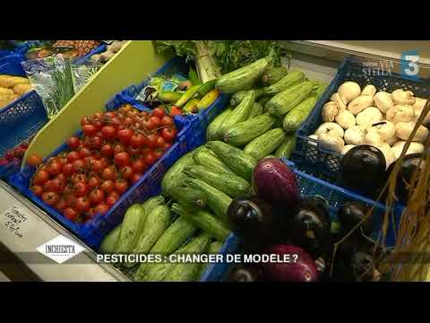 Image du reportage [Inchiesta] Pesticides : changer de modèle ? (France 3 Corse ViaStella)