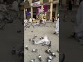 الهي واسع الكرم الهي واسع الكرم