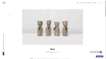 Eris - Portfolio WordPress Theme        Aqissiaq Antiman