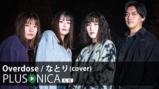 Overdose / なとり (cover)