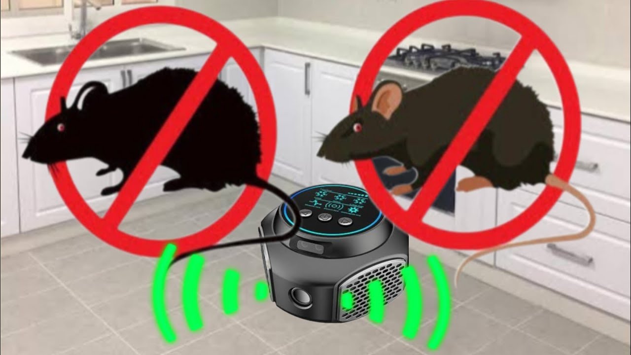 🔊 Раздражающий звук отпугивателя крыс! Попробуйте навсегда изгнать мышей из дома и кухни, не поку