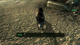 How to get Dogmeat - Fallout 3