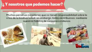 Diversidad de Especies - G2