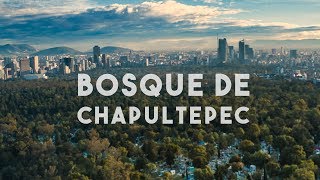 El Bosque de Chapultepec Mejor Que Central Park
