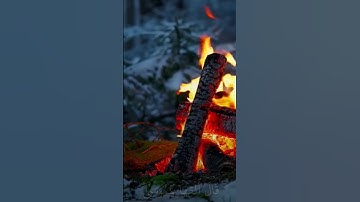 أجمل التلاوات للشيخ ياسر الدوسري #اكسبلور #المصحف #تلاوة_خاشعة #لايك #حالات_واتس #الرحمن