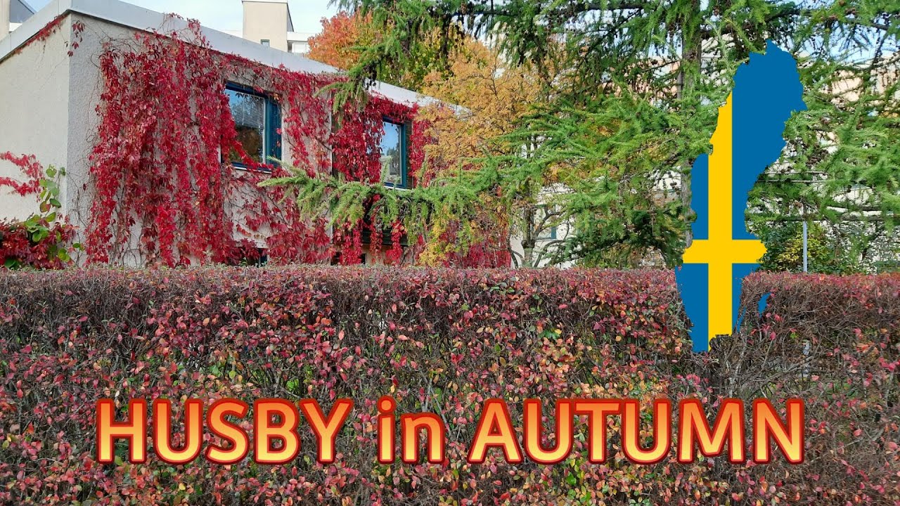 Autumn in Sweden | Relaxing Music | Husby | Nystadsparken 