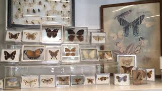 RISD Nature Lab Pt 4