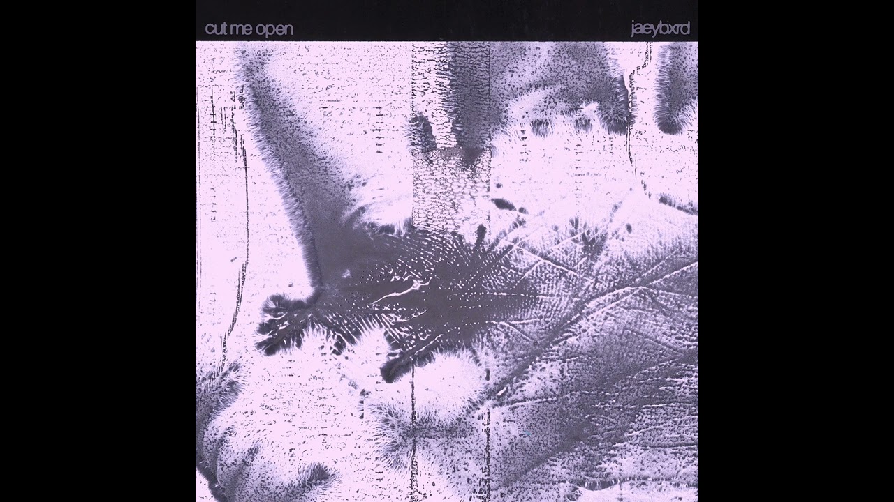 在 YouTube 上观看 JaeyBxrd - cut me open (Official Audio) 在 YouTube 上观看 JaeyBxrd - cut me open (Official Audio)