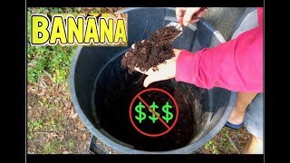 FREE Banana Plant Fertilizer: How to Make Organic Compost & Mulch
