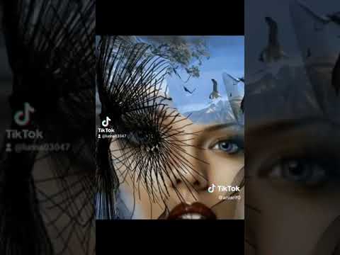 امشي وراء كذبهم