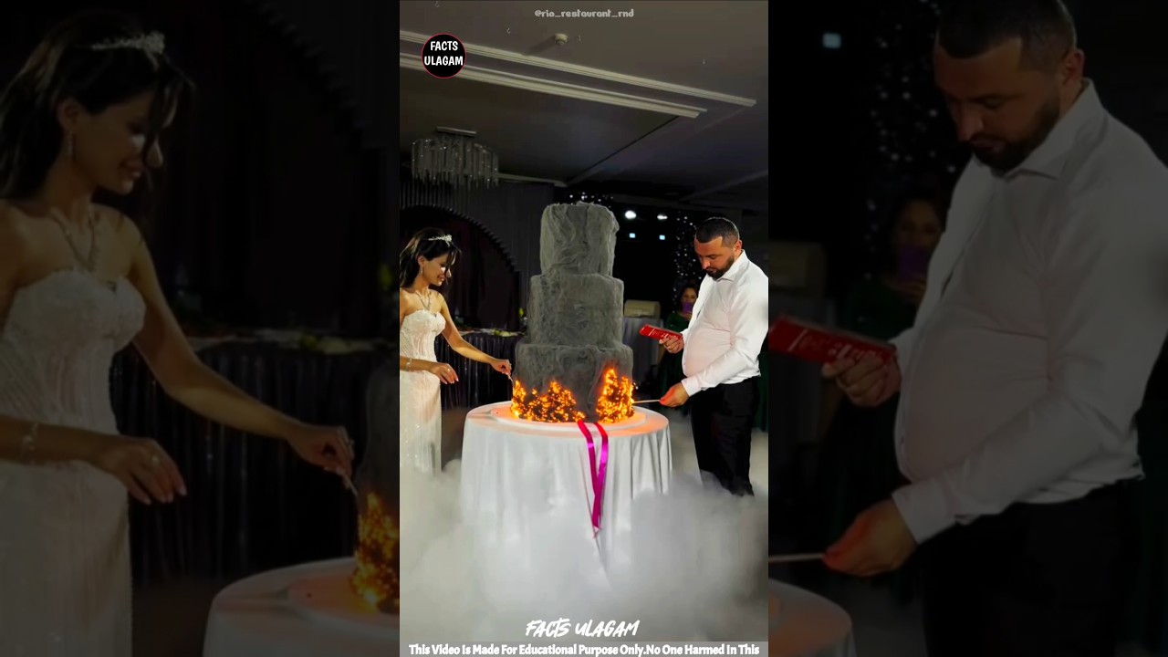 The most expensive cake.| 