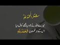 Green Pakistan Wood Master is live!