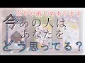 【やや厳しめあります】 今あの人はあなたをどう思ってる？今のあなたへの気持ち。【恋愛・タロット・オラクル・占い】