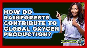 How Do Rainforests Contribute To Global Oxygen Production? - Earth Science Answers