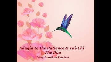 The Duo - Adagio to the Patience & Tai-chi - Davy Jonathan Reichert