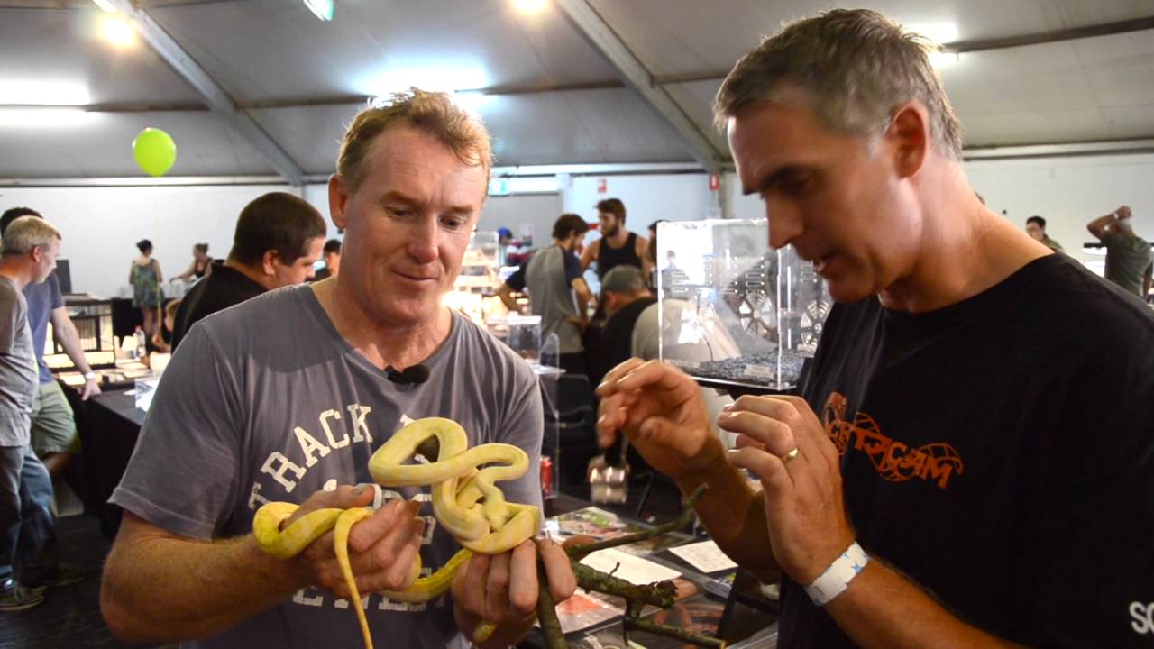 pied piper 読み方 AWESOME Australian Reptiles - CrittaCam