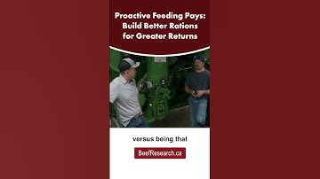 Build better beef cattle rations with CowBytes   #beefcattle  #cattlefeed #farming #CowBytes