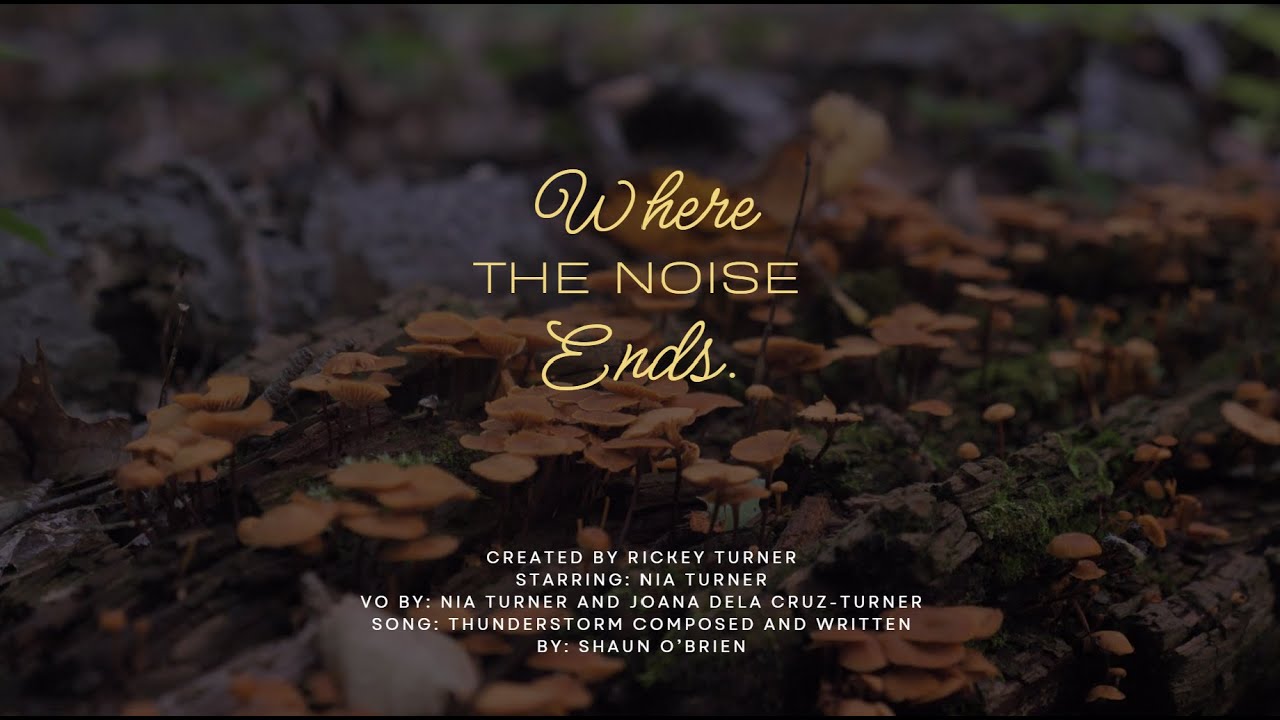 Where the Noise Ends | Short Film