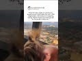 Viral gust of wind spins woman's hair in perfect 360-degree circle #viral