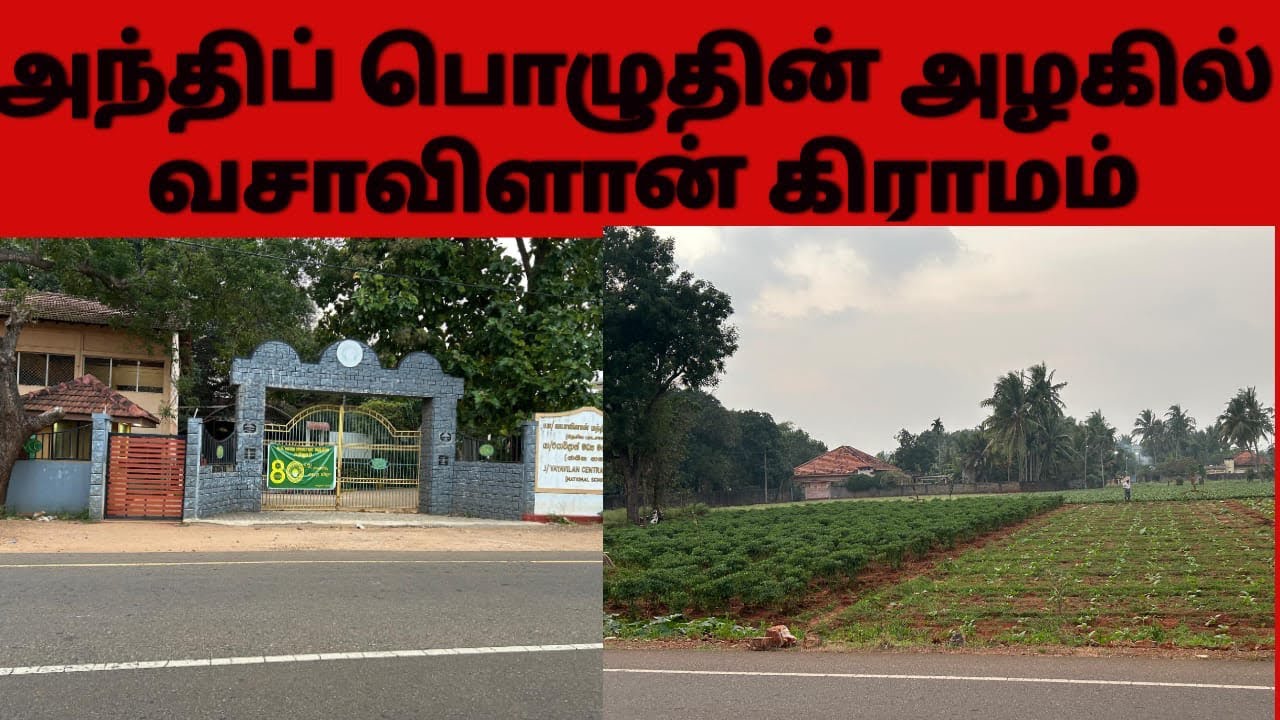 மாலைநேர வசாவிளான்