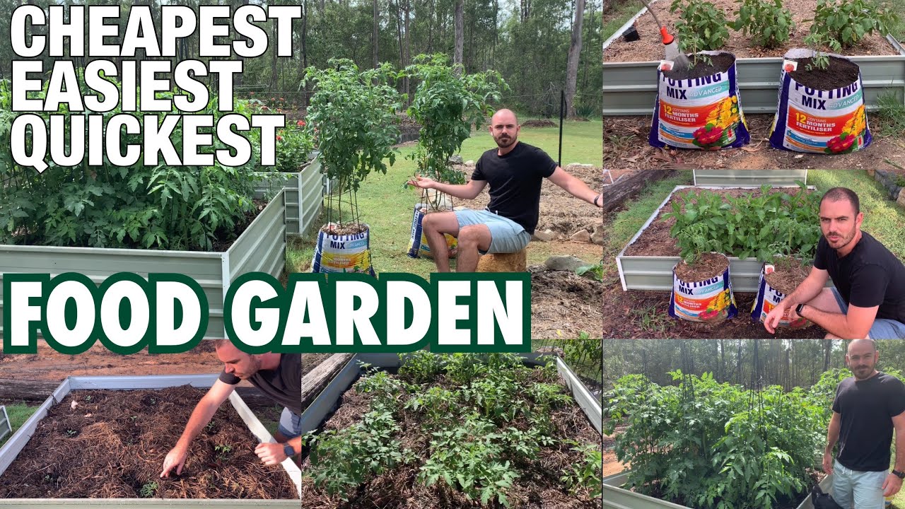 How to Grow Vegetables in Potting Mix Bags YouTube