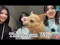 TWICE/The Reason Why を生歌で歌ってくれる!?/ナヨン/モモ/サナ