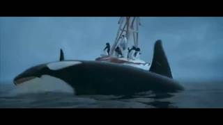 Tf2 Dub Encountering Killer Whales