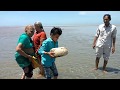 Floating Stone ! रामसेतु का पानी मे तैरता हुआ पत्थर