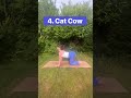 Back stretch
