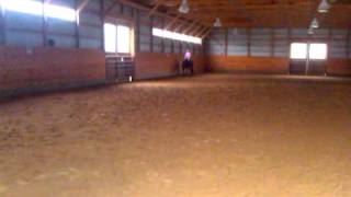 Chestnut Quarter Horse Mare for Sale