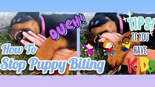 How to Stop Rottweiler Puppy Biting & Child Tips