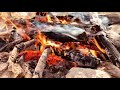 Slow mo forest fireplace