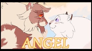 Angel - [Thistleclaw/Snowfur]