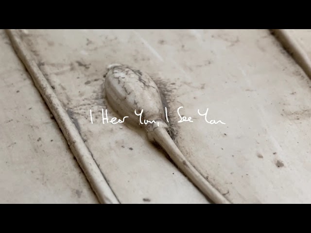 Tonton I Hear You, I See You feat. Nat Birchall & Faye Houston - preview di YouTube Tonton I Hear You, I See You feat. Nat Birchall & Faye Houston - preview di YouTube