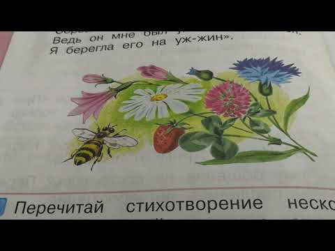 1 класс. Литературное чтение. Разговор с пчелой. Кто как кричит. М. Бородицкая.