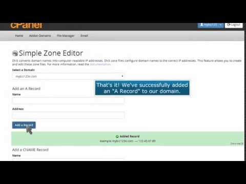 Adding DNS Records with cPanel's Zone Editor Made Easy