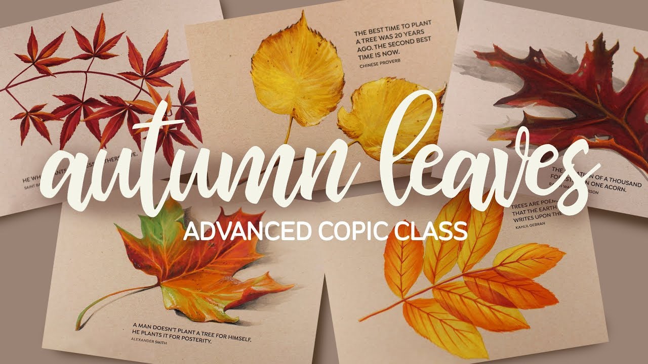 Autumn Leaves (Alcohol marker) | Art Classes