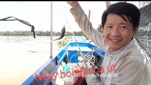 mồi tép câu cá út siêu nhạy... trúng ổ cá út siêu khủng.. mồi trùng câu cá út siêu khủng