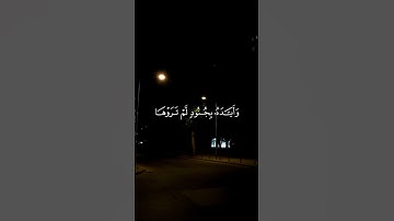#لا_تحزن_ان_الله_معنا🌿#سورة_التوبة #قرآن #المصحف #آيات #اكسبلور