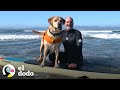 Perro surfista no puede controlar su emoción al llegar a la playa | El Dodo