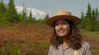 Mount Rainier National Park Fall Season