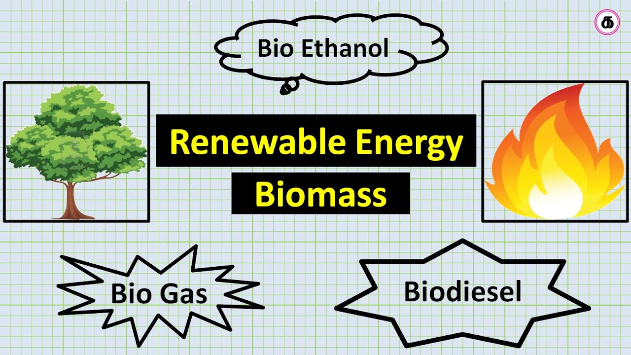 Renewable Energy | Biomass | Biogas | Gasification | Pyrolysis | Bio-Ethanol  | AO Exam | AE Exam