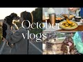 【vlog】とある3日間🌿/福岡カフェ/友達Day🐶/最近のこと等•••