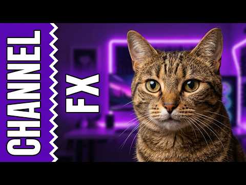 Cat Channel Review : Rissy And Potato 🐾👑