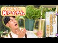 【1980円で劇的変化】スリコの植物棚が初心者に選ばれるワケ thumbnail