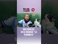 Más fanático no se consigue: "La perroneta"