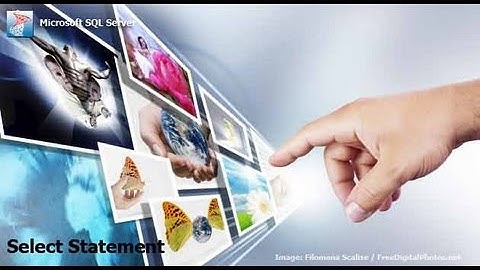 SQL - The Select Statement