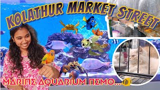 Kolathur fish market | Aquarium fishes starts from 10 rs #kolathur #aquarium #fish #tamil by Our Story's Different 1,493 views 4 months ago 14 minutes, 55 seconds